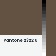 Color chip: Pantone 2322 U