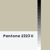 Color chip: Pantone 2323 U