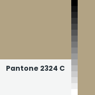 Color chip: Pantone 2324 C
