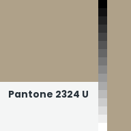 Color chip: Pantone 2324 U