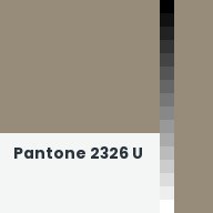 Color chip: Pantone 2326 U