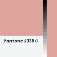 Color chip: Pantone 2338 C