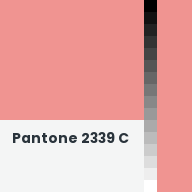 Color chip: Pantone 2339 C