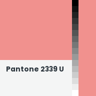 Color chip: Pantone 2339 U