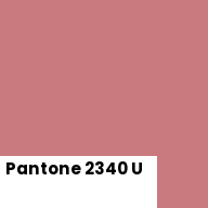 Color chip: Pantone 2340 U
