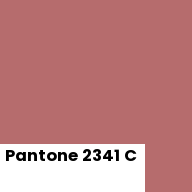 Color chip: Pantone 2341 C