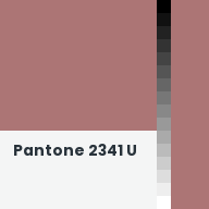 Color chip: Pantone 2341 U