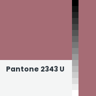 Color chip: Pantone 2343 U