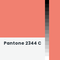 Color chip: Pantone 2344 C