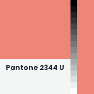 Color chip: Pantone 2344 U