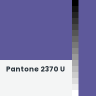 Color chip: Pantone 2370 U