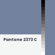 Color chip: Pantone 2373 C