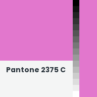 Color chip: Pantone 2375 C