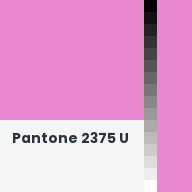 Color chip: Pantone 2375 U
