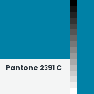 Color chip: Pantone 2391 C