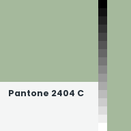 Color chip: Pantone 2404 C