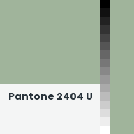 Color chip: Pantone 2404 U
