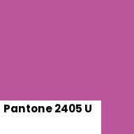 Color chip: Pantone 2405 U