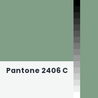Color chip: Pantone 2406 C