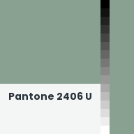 Color chip: Pantone 2406 U