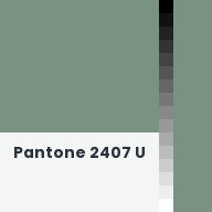 Color chip: Pantone 2407 U
