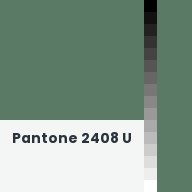 Color chip: Pantone 2408 U