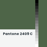 Color chip: Pantone 2409 C