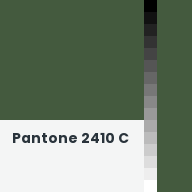 Color chip: Pantone 2410 C
