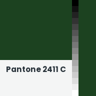 Color chip: Pantone 2411 C
