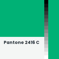 Color chip: Pantone 2416 C