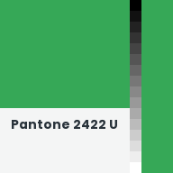 Color chip: Pantone 2422 U