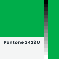 Color chip: Pantone 2423 U
