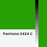 Color chip: Pantone 2424 C