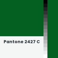 Color chip: Pantone 2427 C