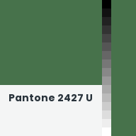 Color chip: Pantone 2427 U