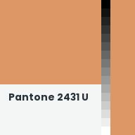 Color chip: Pantone 2431 U