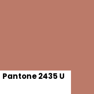 Color chip: Pantone 2435 U