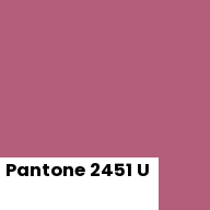 Color chip: Pantone 2451 U