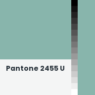 Color chip: Pantone 2455 U