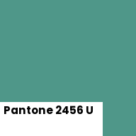 Color chip: Pantone 2456 U