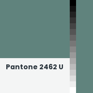 Color chip: Pantone 2462 U