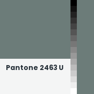 Color chip: Pantone 2463 U