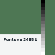Color chip: Pantone 2465 U