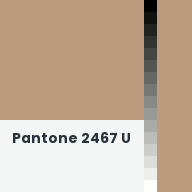 Color chip: Pantone 2467 U