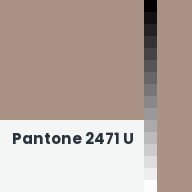 Color chip: Pantone 2471 U