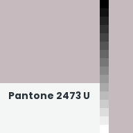 Color chip: Pantone 2473 U