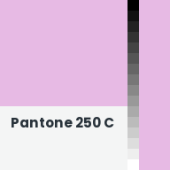 Color chip: Pantone 250 C
