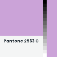 Color chip: Pantone 2563 C