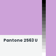 Color chip: Pantone 2563 U