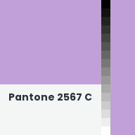 Color chip: Pantone 2567 C